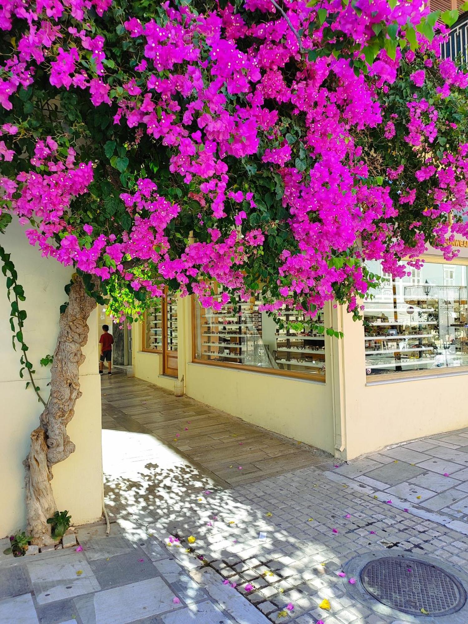 Levantes Superior Suite. Nafplio Exterior photo